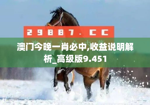 澳门今晚一肖必中,收益说明解析_高级版9.451