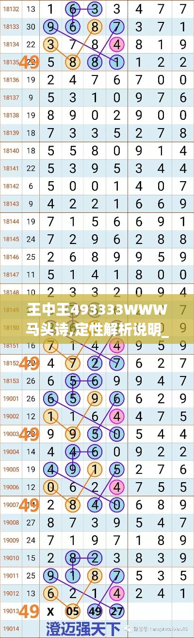 王中王493333WWW马头诗,定性解析说明_冒险版9.869