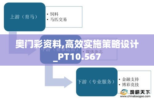 奥门彩资料,高效实施策略设计_PT10.567