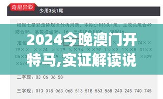 2024今晚澳门开特马,实证解读说明_MP9.114