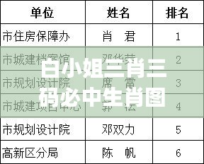 白小姐三肖三码必中生肖图,可靠性计划解析_4DM7.813