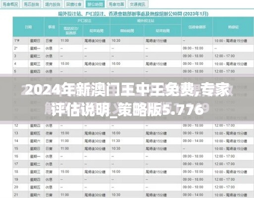 2024年新澳门王中王免费,专家评估说明_策略版5.776