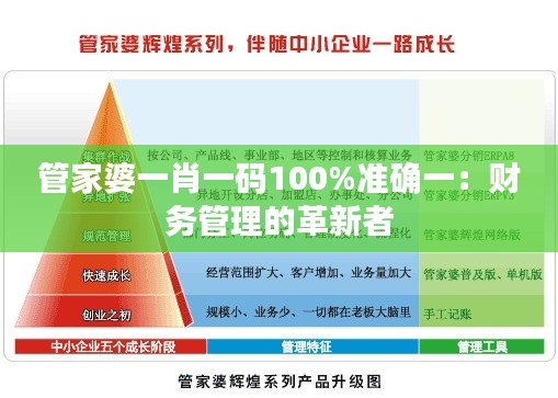 管家婆一肖一码100%准确一：财务管理的革新者