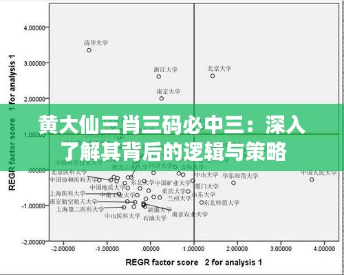 黄大仙三肖三码必中三：深入了解其背后的逻辑与策略