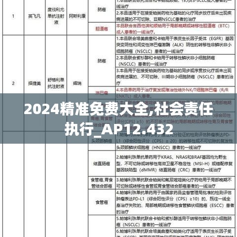 2024精准免费大全,社会责任执行_AP12.432