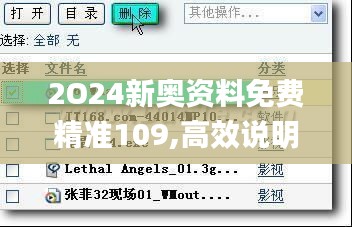 2O24新奥资料免费精准109,高效说明解析_XR16.908