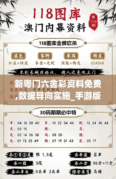 新粤门六舍彩资料免费,数据导向实施_手游版16.199