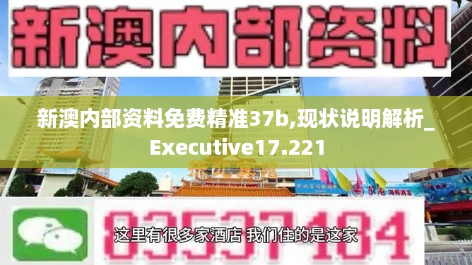 新澳内部资料免费精准37b,现状说明解析_Executive17.221