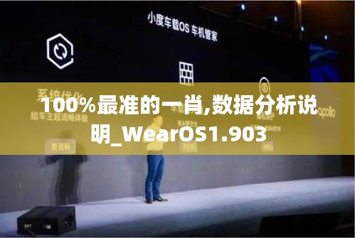 100%最准的一肖,数据分析说明_WearOS1.903