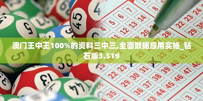 澳门王中王100%的资料三中三,全面数据应用实施_钻石版3.519