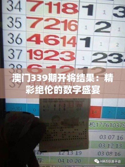 澳门339期开将结果：精彩绝伦的数字盛宴