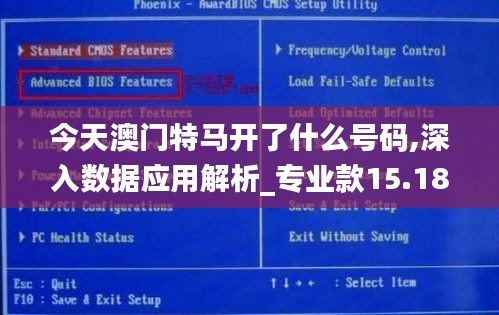 今天澳门特马开了什么号码,深入数据应用解析_专业款15.180