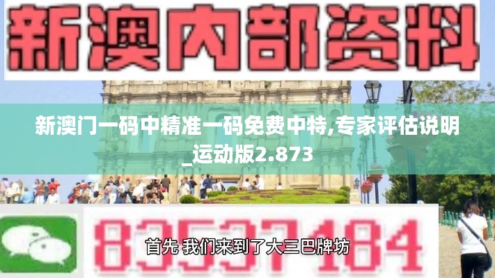 新澳门一码中精准一码免费中特,专家评估说明_运动版2.873