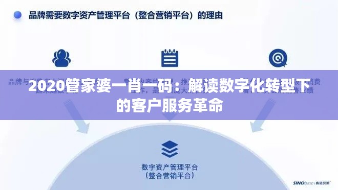 2020管家婆一肖一码：解读数字化转型下的客户服务革命