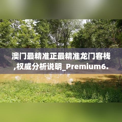 澳门最精准正最精准龙门客栈,权威分析说明_Premium6.161