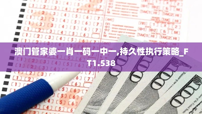 澳门管家婆一肖一码一中一,持久性执行策略_FT1.538