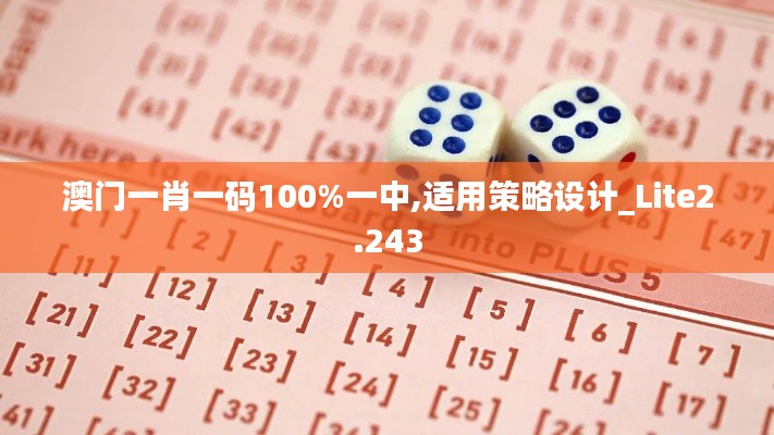 澳门一肖一码100%一中,适用策略设计_Lite2.243