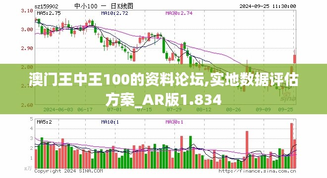 澳门王中王100的资料论坛,实地数据评估方案_AR版1.834