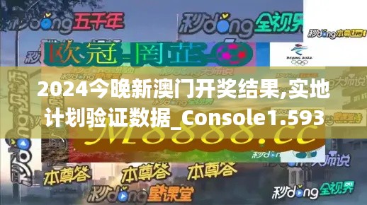 2024今晚新澳门开奖结果,实地计划验证数据_Console1.593