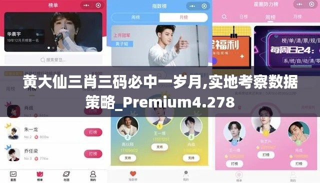 黄大仙三肖三码必中一岁月,实地考察数据策略_Premium4.278