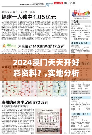 2024澳门天天开好彩资料？,实地分析验证数据_模拟版8.898