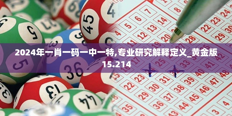 2024年一肖一码一中一特,专业研究解释定义_黄金版15.214