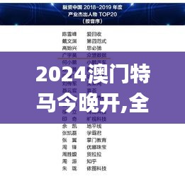 2024澳门特马今晚开,全面数据执行计划_VIP3.411