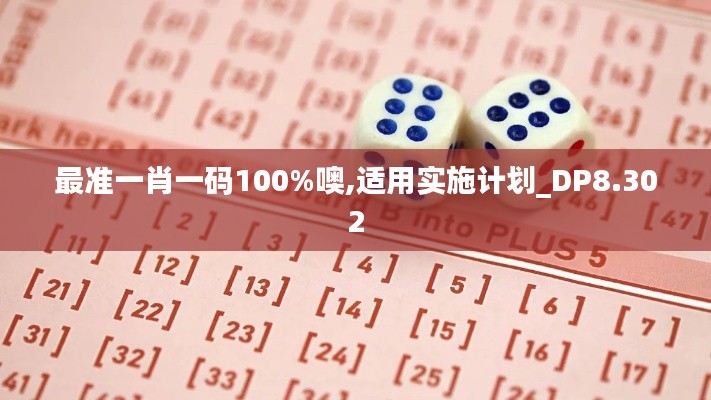 最准一肖一码100%噢,适用实施计划_DP8.302