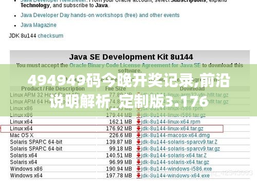 494949码今晚开奖记录,前沿说明解析_定制版3.176