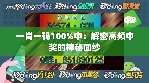 一肖一码100%中：解密高频中奖的神秘面纱