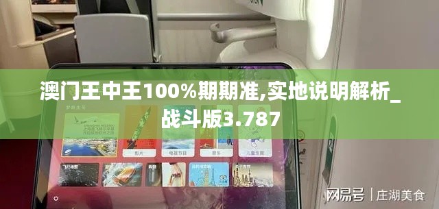 澳门王中王100%期期准,实地说明解析_战斗版3.787