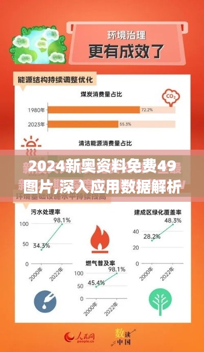 2024新奥资料免费49图片,深入应用数据解析_XE版6.649