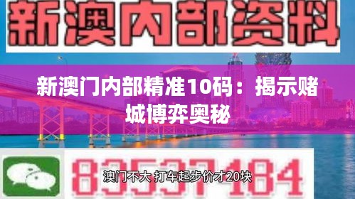 新澳门内部精准10码：揭示赌城博弈奥秘