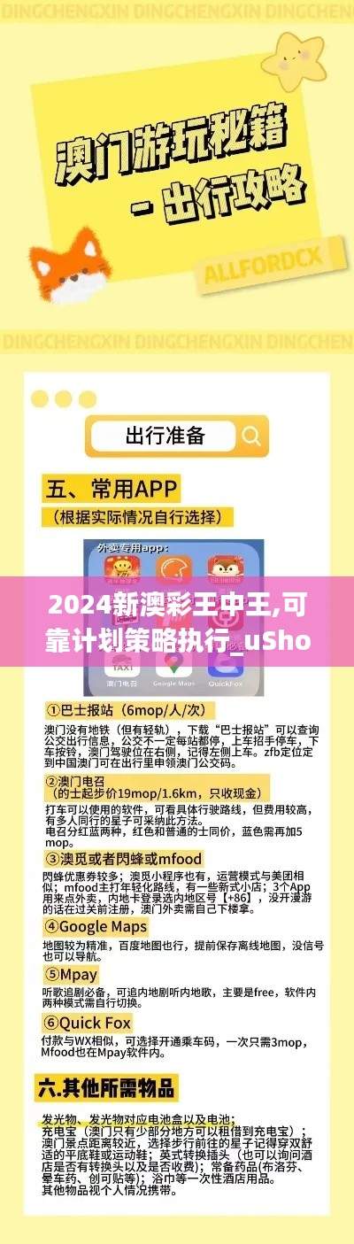 2024新澳彩王中王,可靠计划策略执行_uShop8.394