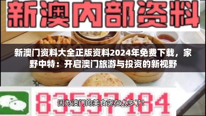 新澳门资料大全正版资料2024年免费下载，家野中特：开启澳门旅游与投资的新视野