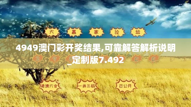 4949澳门彩开奖结果,可靠解答解析说明_定制版7.492