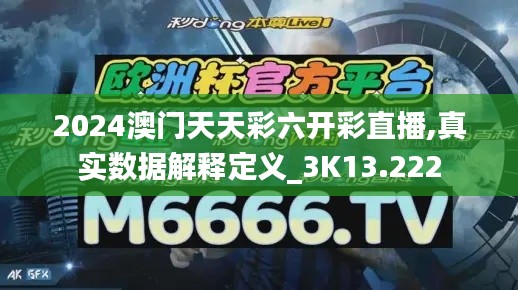 2024澳门天天彩六开彩直播,真实数据解释定义_3K13.222