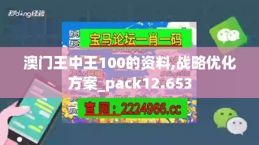 澳门王中王100的资料,战略优化方案_pack12.653