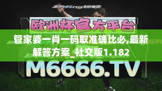 管家婆一肖一码取准确比必,最新解答方案_社交版1.182