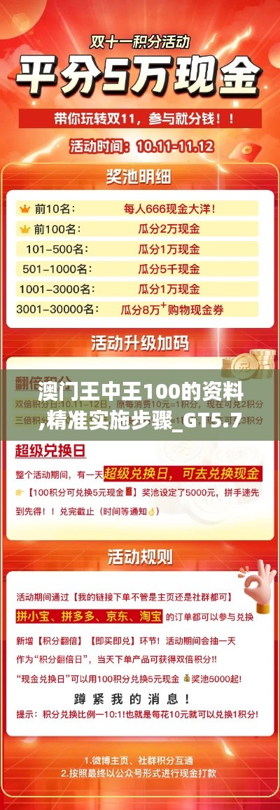 澳门王中王100的资料,精准实施步骤_GT5.778