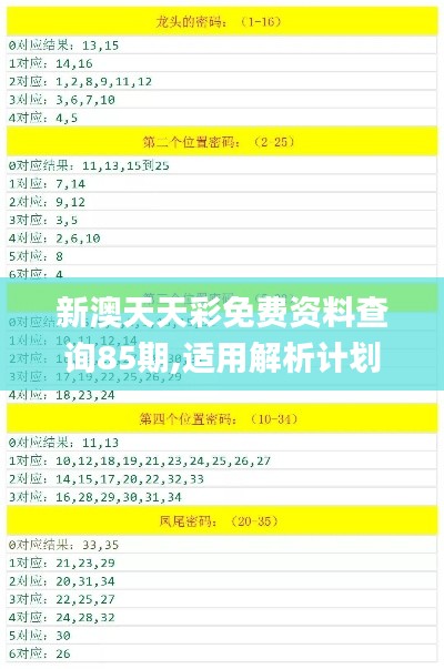 新澳天天彩免费资料查询85期,适用解析计划方案_Notebook1.151