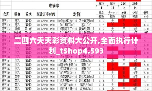 二四六天天彩资料大公开,全面执行计划_tShop4.593