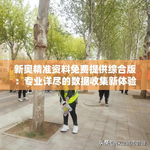 新奥精准资料免费提供综合版：专业详尽的数据收集新体验