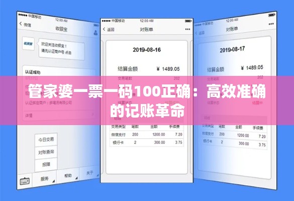 管家婆一票一码100正确：高效准确的记账革命