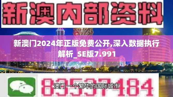 新澳门2024年正版免费公开,深入数据执行解析_SE版7.991