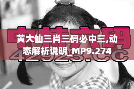 黄大仙三肖三码必中三,动态解析说明_MP9.274