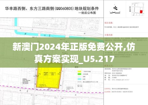 新澳门2024年正版免费公开,仿真方案实现_U5.217